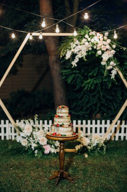 kutlama için taze meyve ile şenlikli kek üç katlı