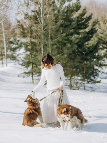 Mujer Vestido Con Dos Perros Husky Bosque Nieve Invierno — Foto de Stock