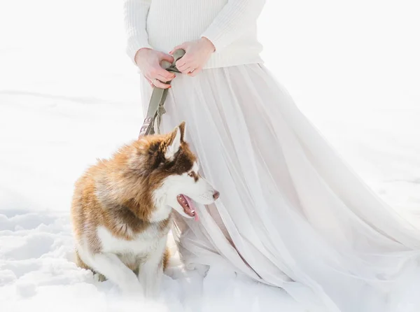 Mujer Vestido Con Dos Perros Husky Bosque Nieve Invierno — Foto de Stock