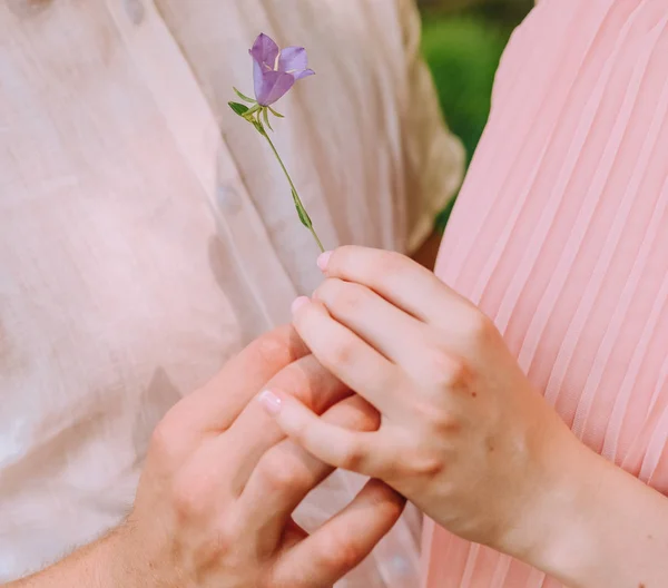 Pár Lásce Muž Dal Dívka Malý Květ — Stock fotografie