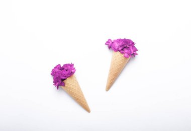 tatil kartı kümesi bir gözleme fincan izole karanfil çiçek