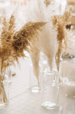 dekor flora kabarık daisy Pampa meşale cam vazolar