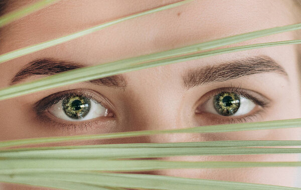 Eyes woman look prickly eyebrows palm pupils Stock Photo