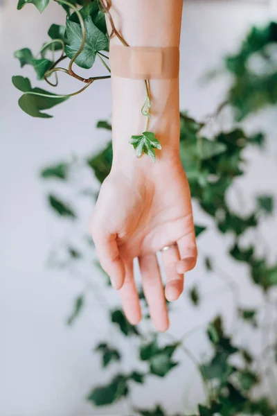 Met de hand verbonden plant druppelaar ader conceptueel leven — Stockfoto