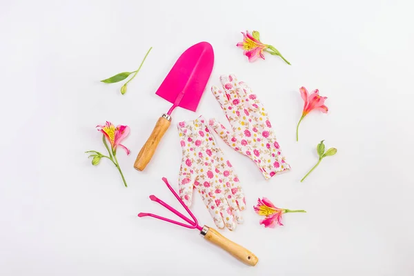 Vrouwelijke set tools werken tuin roze bloemen — Stockfoto
