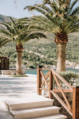 giriş iskelesi adımları palmiye ağaçları dağları görmek