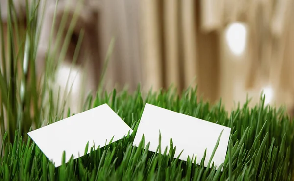 Белая визитная карточка бесплатно написание зеленой травы — стоковое фото