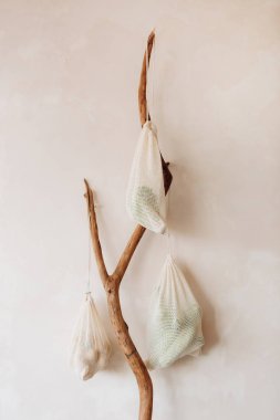 sebze şube kavramsal ekoloji temizlik gezegen doğal