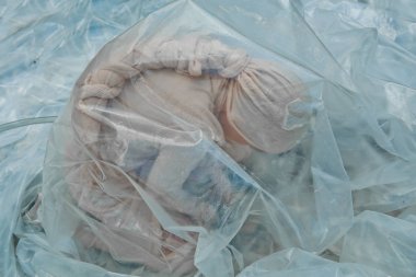 gemi içinde kavram embriyo yaşam sınırlı alan savunmasız