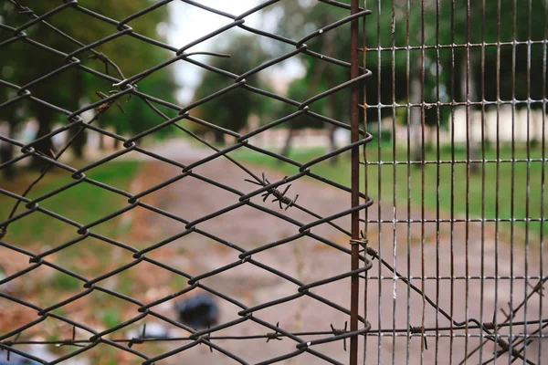 Fencing territory forbidden zone metal barbed wire — Stock Photo, Image