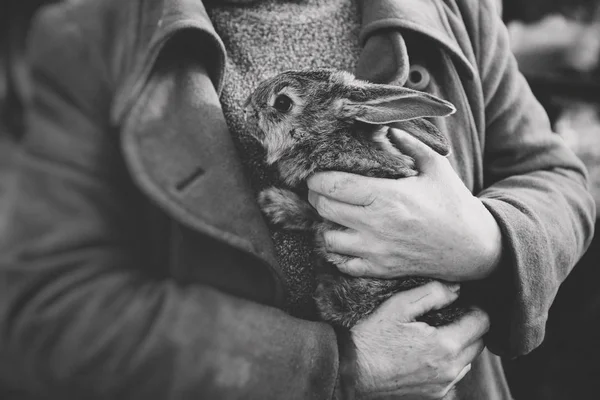 man holds gray fluffy rabbit hands pressed chest