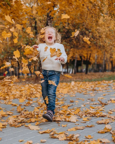 Chica parque otoño vomita oro caído hojas — Foto de Stock