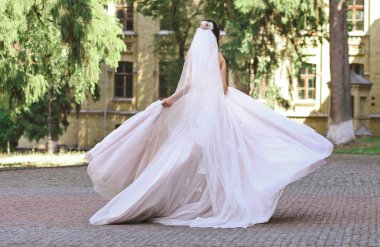 düğün gelin kıyafetleri beyaz elbise kavramsal güzellik