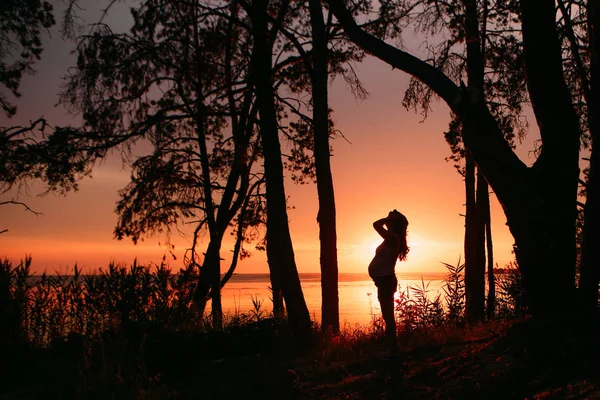 Gün batımı dışında hamile kadın profil silueti — Stok fotoğraf