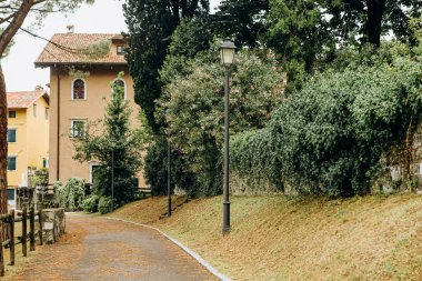 çatılar binalar eski şehir avrupa ağaçlar bitki örtüsü