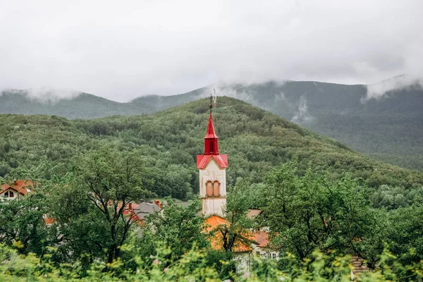 Telhados edifícios cidade velha europa árvores vegetação — Fotografia de Stock