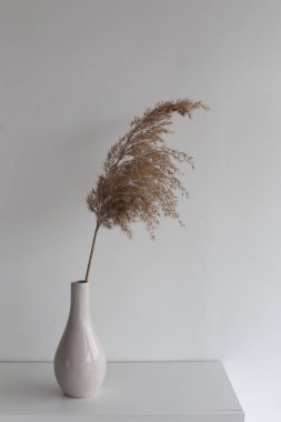 kabarık kuru bitki vazo dekorasyon iç beyaz