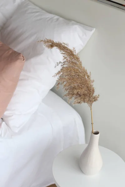 Fluffy dry plant vase decoration interior white — ストック写真