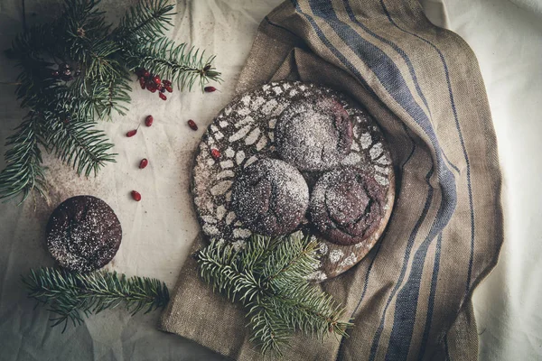 Chocolate muffin sprinkled icing sugar coniferous branches — Stock Photo, Image
