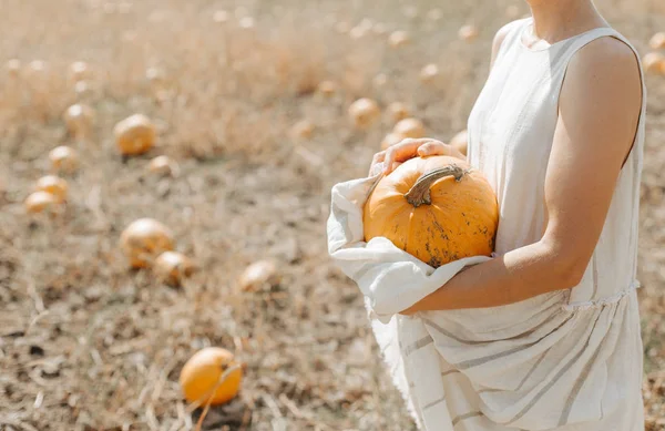 Cosecha calabazas amarillas plantación mujer campo — Foto de Stock