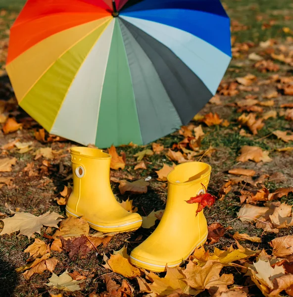 Outono amarelo folha queda conceitual menina parque — Fotografia de Stock