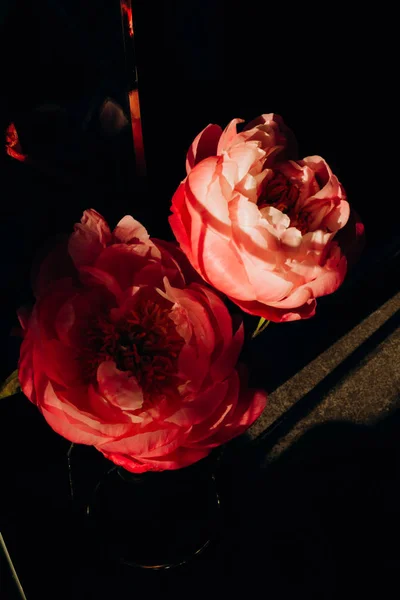 Deux fleurs rose pivoine fil vase élégant — Photo