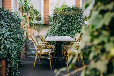Masa sandalyelerinin dışındaki rahat yer yeşil bitki örtüsü