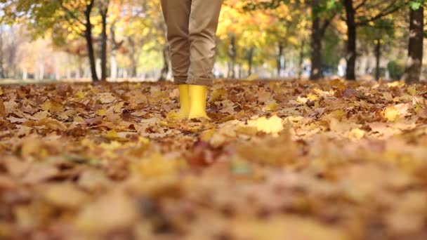 Muchas hojas de oro de otoño pies botas de niña — Vídeo de stock