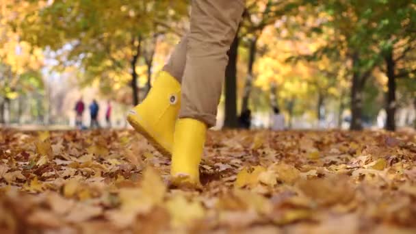 Muchas hojas de oro de otoño pies botas de niña — Vídeos de Stock