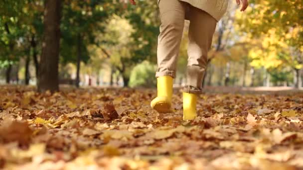 Viele goldene Herbstblätter Füße Mädchen Stiefel — Stockvideo