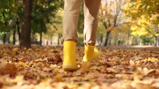 Bir çok sonbahar altın yapraklı ayaklı kız çizmeleri — Stok video