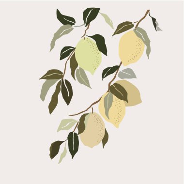 Limon ağacı çiçeği Vektör illüstrasyon arkaplanı