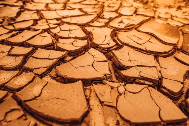 Kavramsal hastalık virüsü, kuru toprak trajedisini, enfeksiyonu, yıkımı...