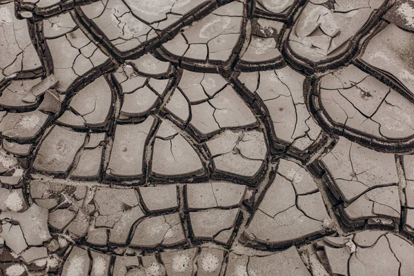 Cracked Gray Bark Earth Drought Desert Doomsday — Stock Photo, Image