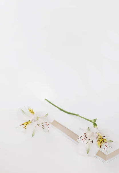 Feestelijke Mock Met Notitieblok Bloemen Een Witte Achtergrond — Stockfoto