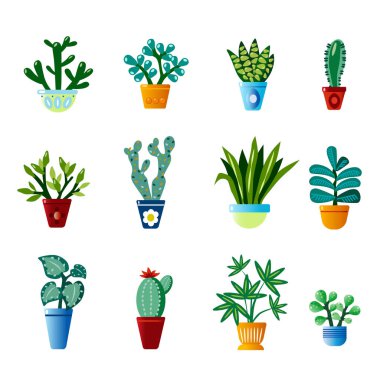 Bir dizi ev bitkisi çizgi film vektör illüstrasyon botanik koleksiyonu
