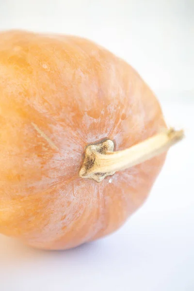 Abóbora Cor Laranja Com Uma Raiz Fundo Branco — Fotografia de Stock