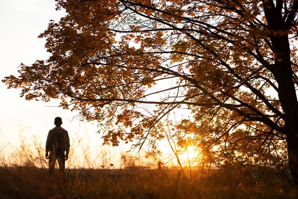 Hombre Pone Atardecer Con Luz Mágica Bosque Otoño Temporada Hojas — Foto de Stock