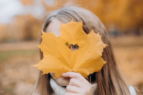 Menina Bonita Cobre Seu Rosto Com Maple Outono Folha Ouro — Fotografia de Stock