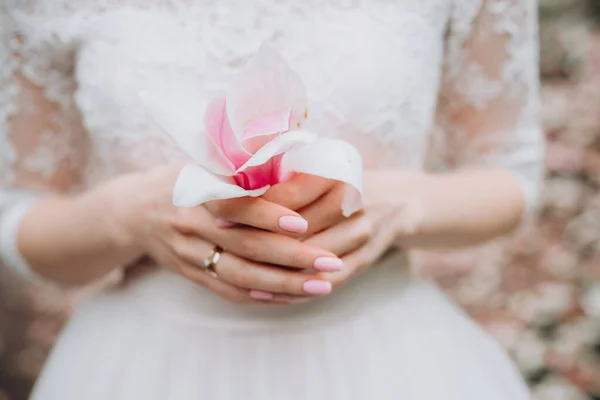 Blomma Magnolia Trädgård Brud Elegant Klänning Festlig Bakgrund — Stockfoto