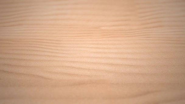 暖かいアニメ砂漠で砂丘に滑り込み — ストック動画