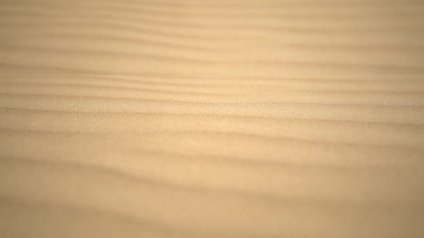 Glider Över Varma Animerade Desert Dunes Alt — Stockvideo
