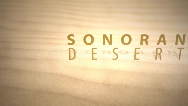 Deslizándose Través Cálidas Dunas Animadas Del Desierto Con Texto Desierto — Vídeo de stock