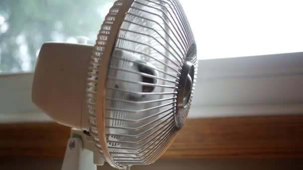 Gros Plan Ventilateur Bureau Soufflant Tournant Vers Caméra — Video