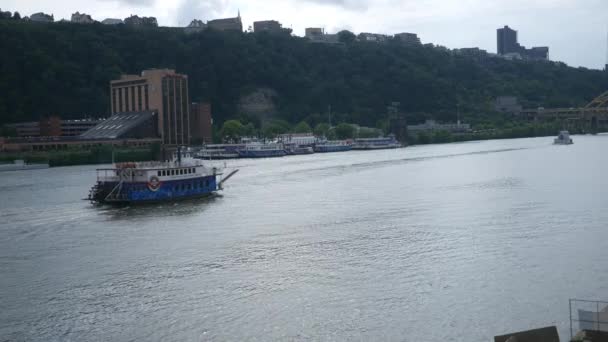 Pittsburgh Vers Août 2018 Gateway Clipper Remontant Une Rivière Près — Video