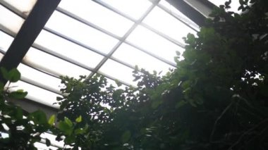 Atış bir tavan içinde bir doğa konservatuar kurulması