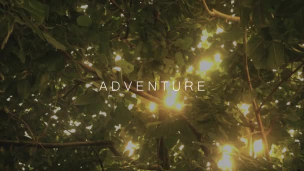 Luz Sol Brilhando Através Dossel Selva Texto Aventura — Vídeo de Stock