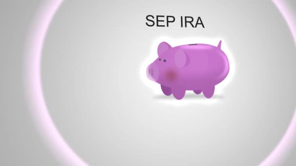 Kameraschwenks Von Sparschweinen Für Finanzierungskonzept Sep Ira — Stockvideo