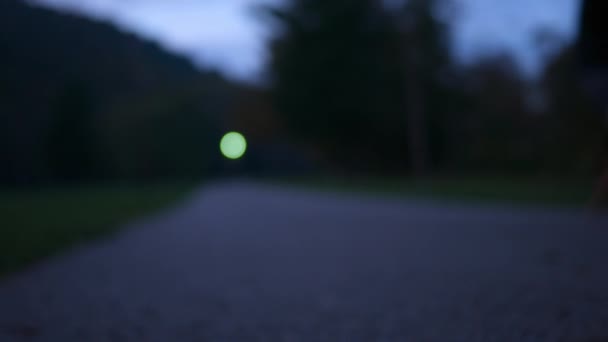 Defocused Young Woman Walks Her Dog Alone Park Night — Stock Video