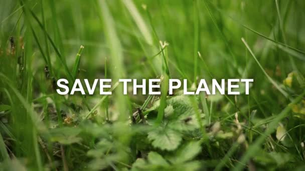 Печать Планеты Над Муравьями Травяном Фоне Эко Концепция — стоковое видео